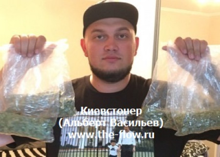 БРАТ БАСТЫ ОКАЗАЛСЯ ПРИЧАСТНЫМ К ОРГАНИЗАЦИИ ТЕРАКТА